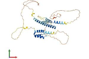 Protein Structure (PS) image for Meis Homeobox 1 (MEIS1) (AA 1-390) protein (His tag) (ABIN7557638)