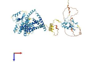 RNF103 Protein (AA 1-683) (His tag)