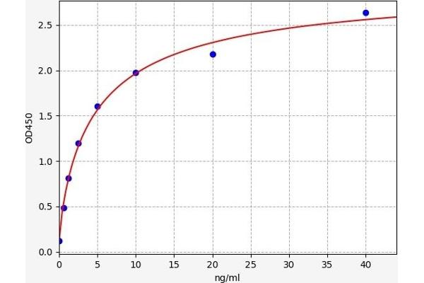 HDAC8 ELISA Kit