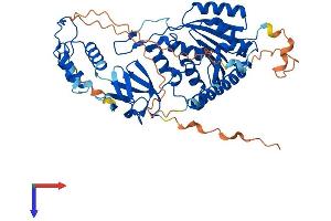 TRMT6 Protein (AA 1-497) (His tag)