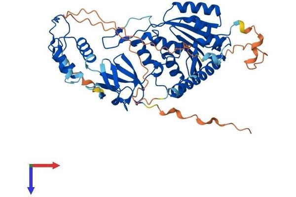 TRMT6 Protein (AA 1-497) (His tag)