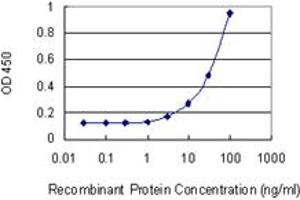 Detection limit for recombinant GST tagged DDOST is 1 ng/ml as a capture antibody. (DDOST Antikörper  (AA 328-427))