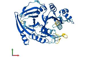 Protein Structure (PS) image for 4-Hydroxyphenylpyruvate Dioxygenase-Like (HPDL) (AA 1-371) protein (His tag) (ABIN7548390)