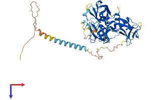 TMPRSS5 Protein (AA 1-455) (His tag)
