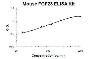 Mouse FGF23 PicoKine ELISA Kit standard curve (FGF23 ELISA Kit)