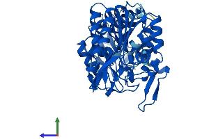 Protein Structure (PS) image for Phosphoglycerate Kinase 2 (PGK2) (AA 1-417) protein (His tag) (ABIN7550729)