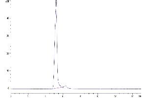 Size-exclusion chromatography-High Pressure Liquid Chromatography (SEC-HPLC) image for Tumor Necrosis Factor (Ligand) Superfamily, Member 9 (TNFSF9) (AA 71-254), (Trimer) protein (Fc Tag) (ABIN7273929)