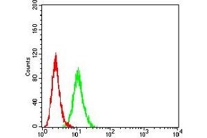 Flow cytometric analysis of HeLa cells using IGHM mouse mAb (green) and negative control (red). (IGHM Antikörper  (AA 310-452))