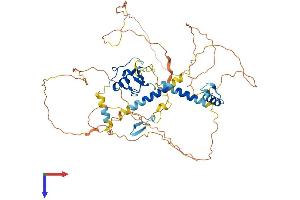 RNF220 Protein (AA 1-566) (His tag)