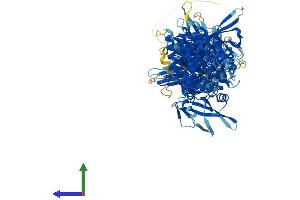 Protein Structure (PS) image for Janus Kinase 2 (JAK2) (AA 1-1132) protein (His tag) (ABIN7554274)