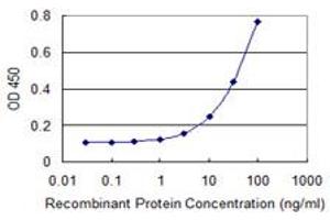 Detection limit for recombinant GST tagged SDC2 is 1 ng/ml as a capture antibody. (Syndecan 2 Antikörper  (AA 32-130))
