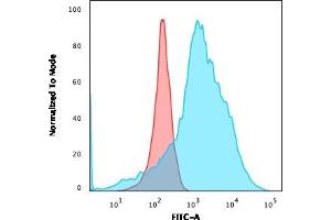 Flow Cytometric Analysis of K562 cells using LMO2 Recombinant Rabbit Monoclonal Antibody (LMO2/3147R) followed by goat anti-rabbit IgG-CF488 (Blue); Isotype Control (Red). (Rekombinanter LMO2 Antikörper  (AA 23-140))