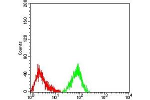 Flow cytometric analysis of HL-60 cells using CD163 mouse mAb (green) and negative control (red). (CD163 Antikörper  (AA 42-259))