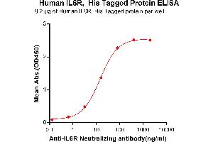 ELISA plate pre-coated by 2 μg/mL (100 μL/well) Human IL6R, His tagged protein (ABIN6964085) can bind Anti-IL6R Neutralizing antibody in a linear range of 0. (IL-6 Receptor Protein (His tag))
