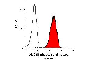 Flow Cytometry (FACS) image for anti-AT Rich Interactive Domain 1B (SWI1-Like) (ARID1B) (AA 1425-1475) antibody (ABIN7795694) (Rekombinanter ARID1B Antikörper  (AA 1425-1475))
