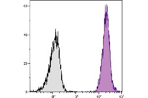 BALB/c mouse splenocytes were stained with Mouse Anti-Mouse H-2Kd/H-2Dd-PE. (H-2Kd/H-2Dd Antikörper (FITC))