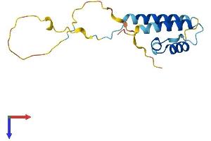 PPP1R14D Protein (AA 1-146) (His tag)