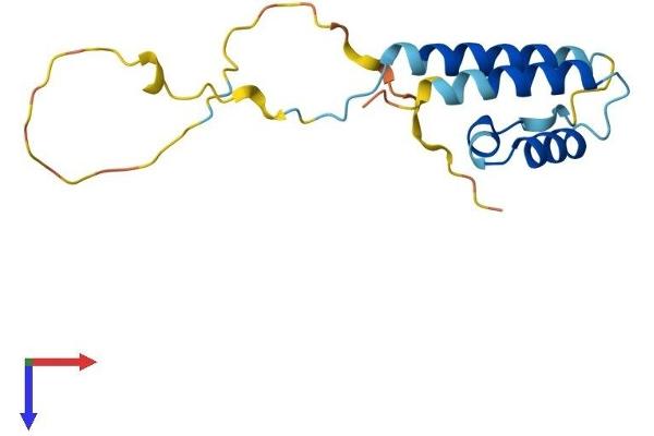 PPP1R14D Protein (AA 1-146) (His tag)