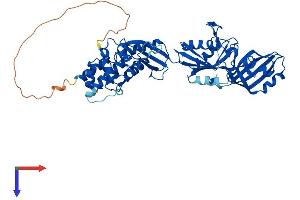 PUS10 Protein (AA 1-529) (His tag)
