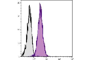 BALB/c mouse splenocytes were stained with Rat Anti-Mouse CD102-FITC. (ICAM2 Antikörper  (FITC))