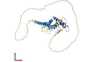 AlphaFold protein structure predicition of Mouse Recombinant Spatc1l Protein, UniprotID Q9D9W0
