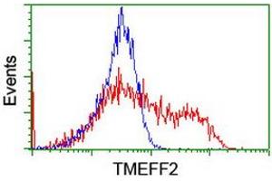 Image no. 2 for anti-Transmembrane Protein with EGF-Like and Two Follistatin-Like Domains 2 (TMEFF2) antibody (ABIN1501418) (TMEFF2 Antikörper)