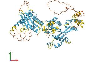 Protein Structure (PS) image for MARE (C16orf35) (AA 1-569) protein (His tag) (ABIN7559960)