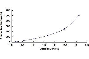 Typical standard curve (BMP2 ELISA Kit)