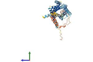 Protein Structure (PS) image for Neuropeptide Y Receptor Y5 (NPY5R) (AA 1-466) protein (His tag) (ABIN7562539)