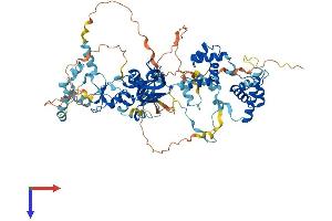 MTA1 Protein (AA 1-715) (His tag)