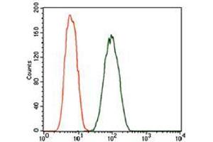 Flow cytometric analysis of A549 cells using DCTN4 mouse mAb (green) and negative control (red). (Dynactin 4 Antikörper  (AA 57-298))