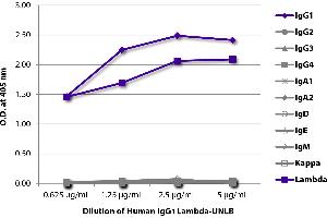ELISA image for Human IgG1 isotype control (Alkaline Phosphatase (AP)) (ABIN375648)