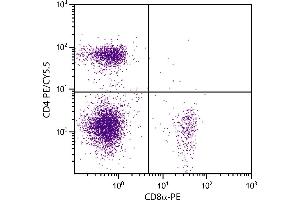 BALB/c mouse splenocytes were stained with Rat Anti-Mouse CD4-PE/CY5. (CD4 Antikörper  (PE-Cy5.5))