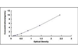 Typical standard curve (MAX ELISA Kit)