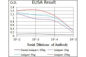 ELISA image for anti-Integrin Alpha2b (CD41) (AA 45-149) antibody (ABIN1844101)