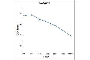 Antigen: 0. (KCNJ3 Antikörper  (AA 81-180))