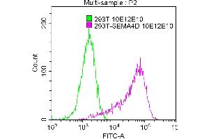 Overlay Peak curve showing 293T whole cell lysate transfected with SEMA4D stained with ABIN7168783 (red line) at 1:100.