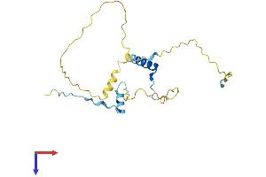 DARPP32 Protein (AA 1-204) (His tag)