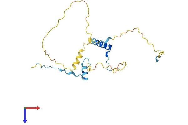 DARPP32 Protein (AA 1-204) (His tag)