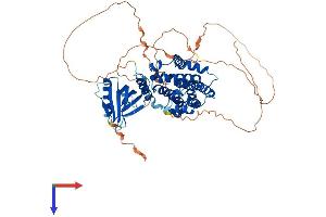 RALGPS1 Protein (AA 1-585) (His tag)
