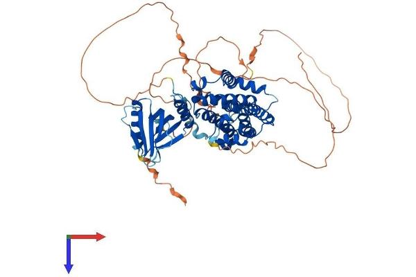 RALGPS1 Protein (AA 1-585) (His tag)