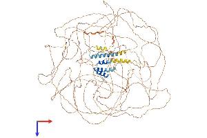 TCOF1 Protein (AA 1-1320) (His tag)