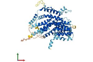 Protein Structure (PS) image for Solute Carrier Family 13 Member 2 (SLC13A2) (AA 1-586) protein (His tag) (ABIN7561461)