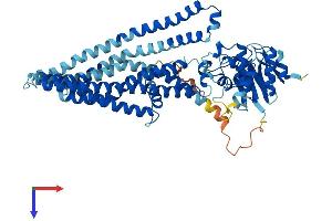 ABCD4 Protein (AA 1-606) (His tag)