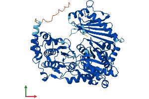 Protein Structure (PS) image for Phosphoglucomutase 2 (PGM2) (AA 1-620) protein (His tag) (ABIN7558298)