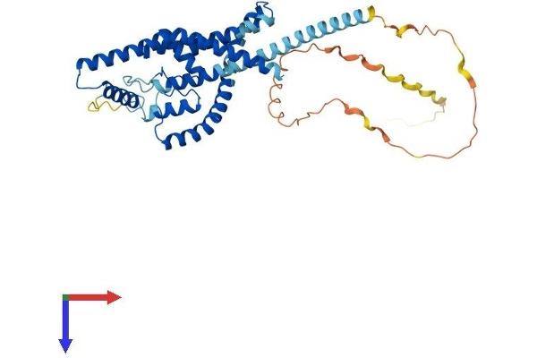KCNK4 Protein (AA 1-393) (His tag)