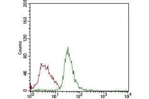 Flow cytometric analysis of Jurkat cells using RB1 mouse mAb (green) and negative control (red). (Retinoblastoma 1 Antikörper  (AA 2106-2784))