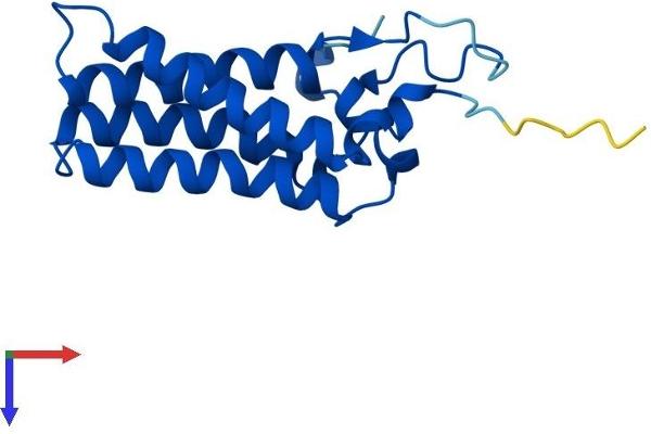 ORMDL3 Protein (AA 1-153) (His tag)