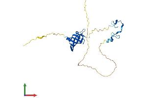 AlphaFold protein structure predicition of Mouse Recombinant Lin28b Protein, UniprotID Q45KJ6