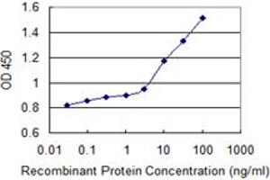 Detection limit for recombinant GST tagged ARSB is 1 ng/ml as a capture antibody. (Arylsulfatase B Antikörper  (AA 166-265))